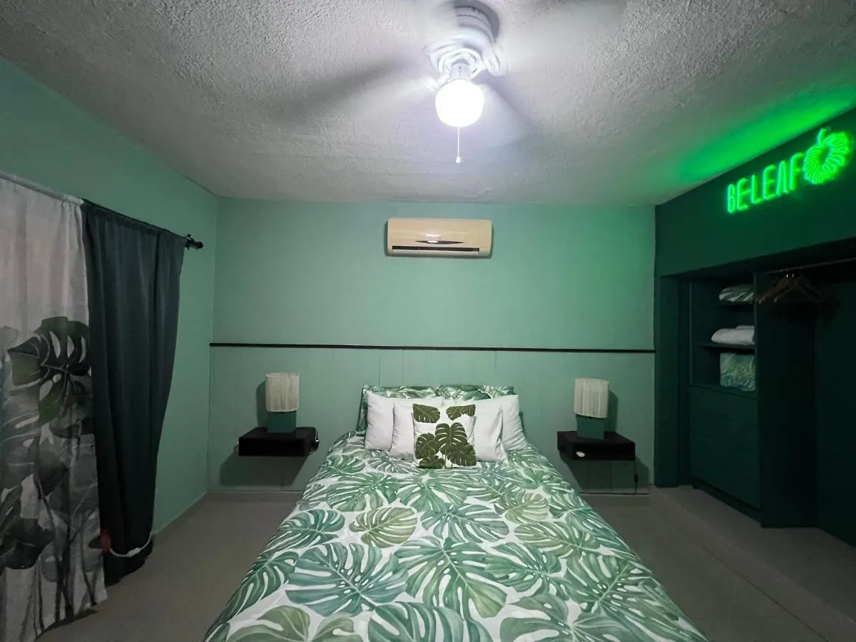 Dici Co-Living Housing Cabo San Lucas Bed & Breakfast