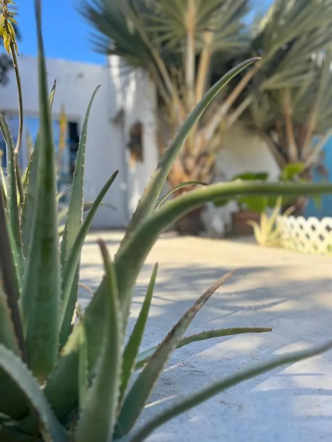 Dici Co-Living Housing Cabo San Lucas Bed & Breakfast