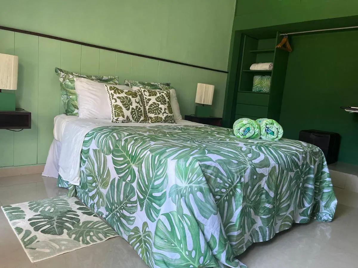 Dici Co-Living Housing Cabo San Lucas Bed & Breakfast