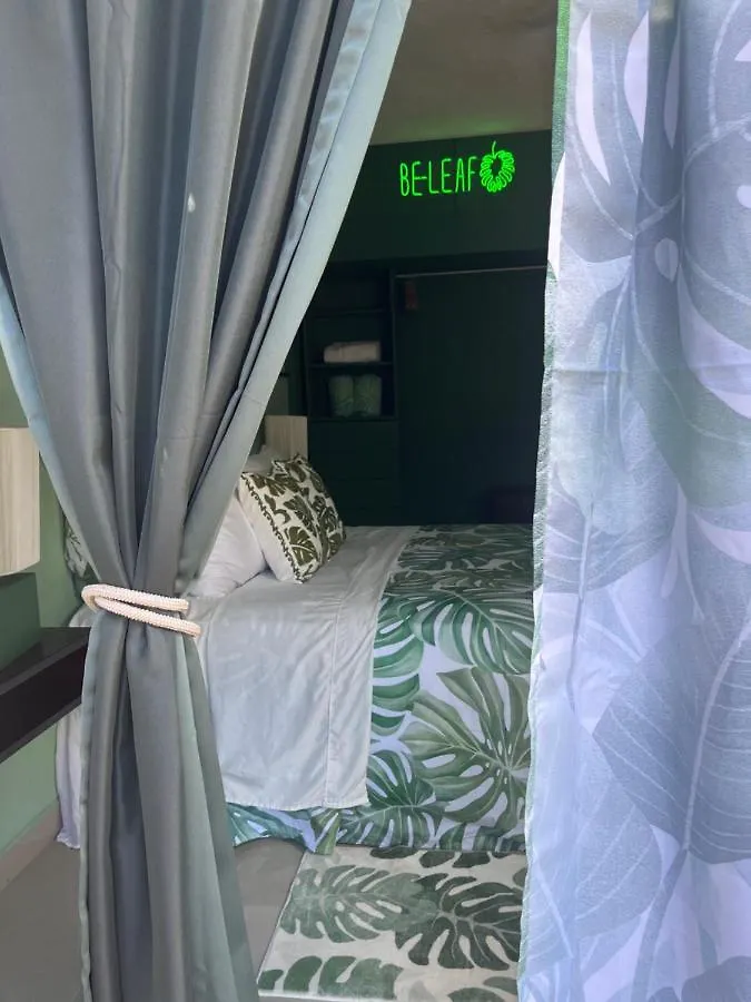Dici Co-Living Housing Cabo San Lucas Bed & Breakfast