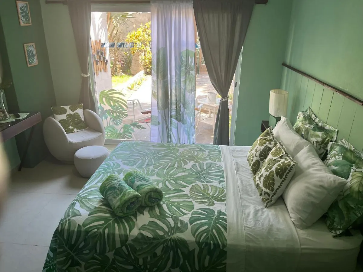 Dici Co-Living Housing Cabo San Lucas Bed & Breakfast